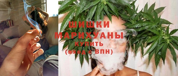 ГАЛЛЮЦИНОГЕННЫЕ ГРИБЫ Аркадак