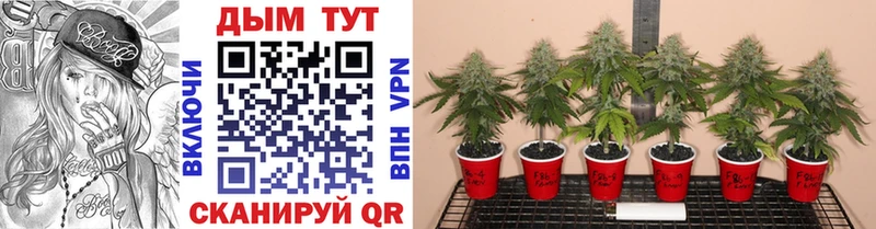МАРИХУАНА Ganja  MEGA ТОР  Ирбит 